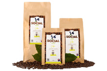 Load image into Gallery viewer, BLENDS - VIBE (Mild Kick)